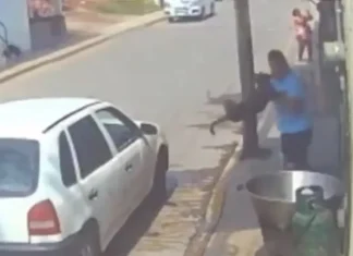 Sentencian a 5 años a sujeto que aventó a perrito a cazo de aceite hirviendo
