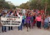 Artículo / Transístmico: ¡megaproyecto de muerte!