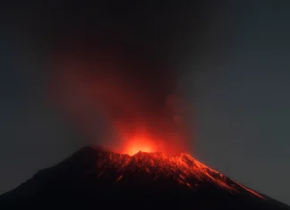 ESPECIAL / Por Don Goyo, ¡En alerta!