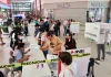 Palabras Más / Los órganos electorales funcionan