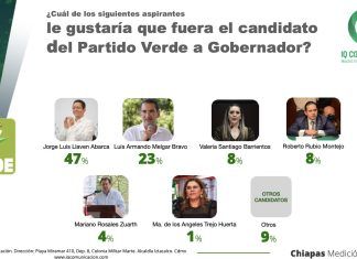 Morena y PVEM, con aspirantes bien perfilados para disputar la gubernatura de Chiapas