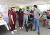 En Tecámac la alcaldesa Mariela Gutiérrez, entrega la Primera Unidad Móvil para Mascotas