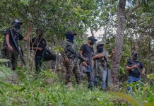 Picotazo Político / Chiapas y el crimen
