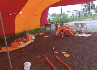 Hidalgo / Autoridades retiran puesto de barbacoa que vendía carne de perro en Tizayuca