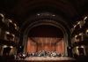 Homo Espacios / Chile 50 años, semilleros patrios… y en las artes
