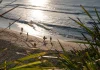 Olas de calor son más intensas y duraderas en aguas profundas del mar