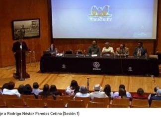 Cultura / Néstor Paredes, arqueólogo mesoamericano