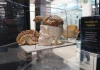 Exposición «El cerebro y sus emociones»