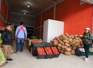 Tecámac: Nuevo Polo de Desarrollo del Estado de México