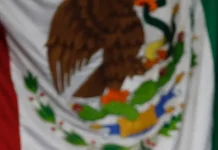 Se Comenta Solo Con / La Fotografía