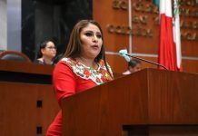 Avanza la ley contra violencia vicaria en la República Mexicana