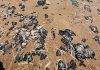 Pescadores afectados por BP son apoyados por gobierno federal
