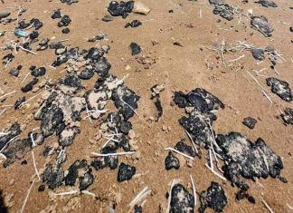 Pescadores afectados por BP son apoyados por gobierno federal