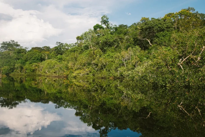 amazonia-brasil