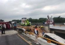 Suman 12 muertos por cáida de puente en Veracruz