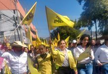 Poder Público / Paco Huacuz y Julieta a la cabeza rumbo al Senado