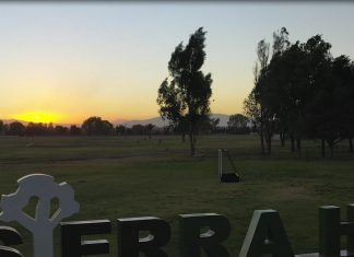Rescata Tecámac 180 Hectáreas de Áreas Verdes, Recreativas y Deportivas Durante la Gestión de Mariela Gutiérrez
