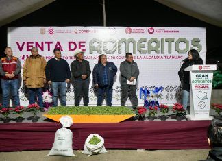 Productores de romeritos esperan comercializar este mes seis mil toneladas de este producto: Silvia Sánchez Barrios