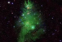 NASA captó conjunto de estrellas jóvenes