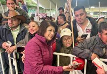 En el Senado a defender a los mexiquenses, el proyecto de Sheinbaum y la 4T: Mariela Gutiérrez