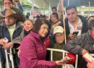 En el Senado a defender a los mexiquenses, el proyecto de Sheinbaum y la 4T: Mariela Gutiérrez