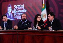 Artículo / ¡Entresijos del narcotráfico mexicano!