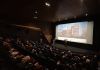 Homo Espacios / Semilleros en el extranjero, diálogos culturales por la transformación… y los 50 años de la Cineteca