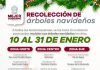 Instala Gobierno de Tecámac 17 Centros de Acopio para la Recolección de Árboles Navideños