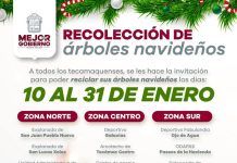 Instala Gobierno de Tecámac 17 Centros de Acopio para la Recolección de Árboles Navideños
