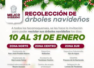 Instala Gobierno de Tecámac 17 Centros de Acopio para la Recolección de Árboles Navideños
