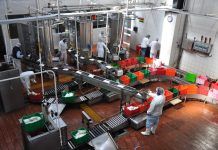 Segalmex, incrementó en un 65% la captación de leche en los Centro de Acopio Segalmex-Liconsa