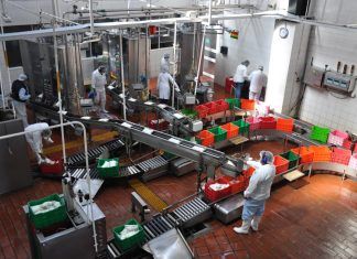 Segalmex, incrementó en un 65% la captación de leche en los Centro de Acopio Segalmex-Liconsa