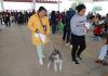 Aumenta en 150% Gobierno de Tecámac Número de Esterilizaciones de Mascotas