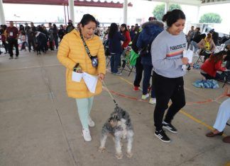 Aumenta en 150% Gobierno de Tecámac Número de Esterilizaciones de Mascotas