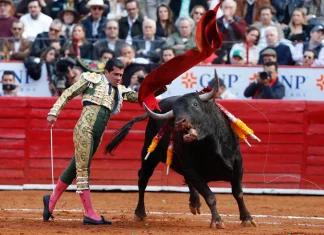 Abarrotan la Plaza México tras un año y medio de inactividad
