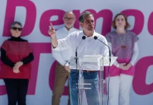 Picotazo Político / La rosa de la democracia