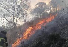 Artículo / Fuego electoral