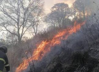 Artículo / Fuego electoral