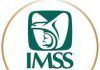 AMLO asegura que por corrupción, 9 estados no se han sumado al Imss-Bienestar
