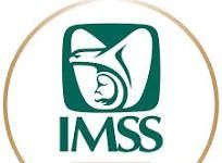 AMLO asegura que por corrupción, 9 estados no se han sumado al Imss-Bienestar