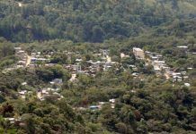 Grupos armados de #Teojomulco invadieron tierras de San Pedro El Alto