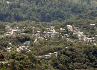 Grupos armados de #Teojomulco invadieron tierras de San Pedro El Alto