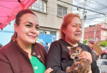 Propone Elizabeth Mateos que las mascotas tengan acceso libre a todos los establecimientos mercantiles