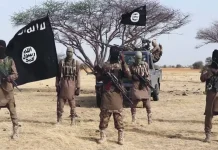 Cultura Impar / El terrorismo tiene muchas formas