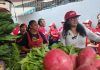 Ola roja priista invade La Guerrero, cientos de simpatizantes arroparon a Silvia Sánchez Barrios