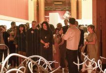 Homo Espacios / Artes por la transformación, encuentro sonorense… y en la programación