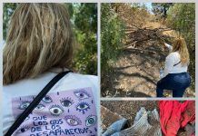 Exclusiva / La Ciudad de México esconde a sus muertos en Tláhuac; Ceci Flores encuentra crematorio clandestino