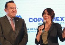 Artículo / Votar: ¡“fiesta por la democracia”!