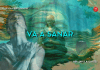 Va a sanar