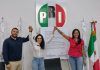 Basura electoral se convertirá en areneros para gatos, bolsas para el mercado o tapetes para perros